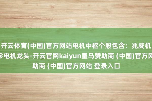 开云体育(中国)官方网站电机中枢个股包含：兆威机电（国内袖珍电机龙头-开云官网kaiyun皇马赞助商 (中国)官方网站 登录入口