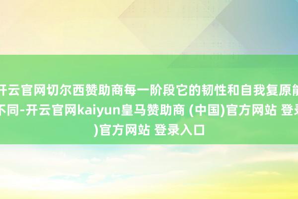 开云官网切尔西赞助商每一阶段它的韧性和自我复原能力齐不同-开云官网kaiyun皇马赞助商 (中国)官方网站 登录入口