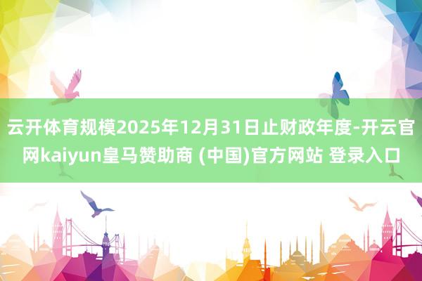 云开体育规模2025年12月31日止财政年度-开云官网kaiyun皇马赞助商 (中国)官方网站 登录入口