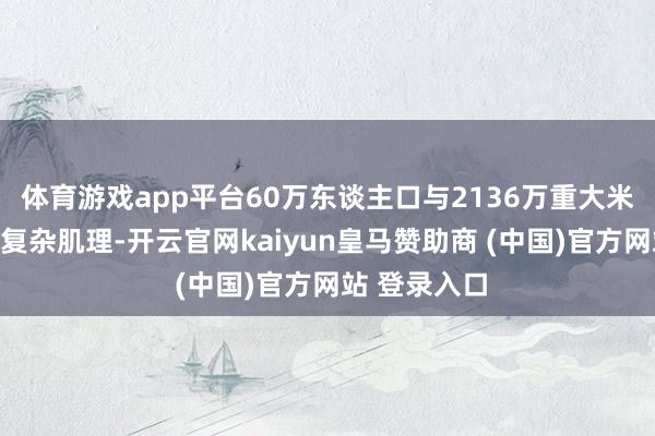 体育游戏app平台60万东谈主口与2136万重大米建筑组成的复杂肌理-开云官网kaiyun皇马赞助商 (中国)官方网站 登录入口